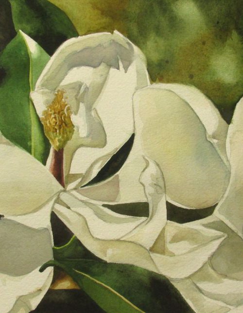 double magnolia by Alfred  Ng