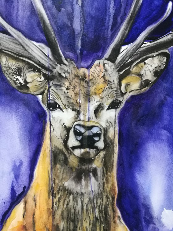 The Stag ( on paper )