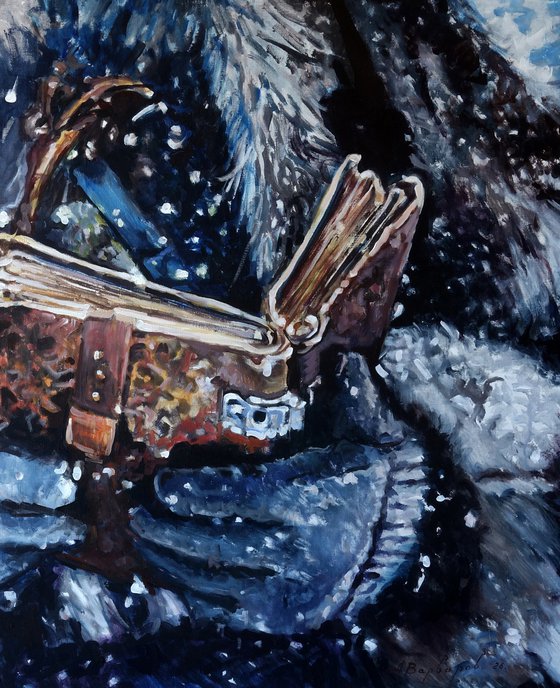 Diary of a Winter Journey