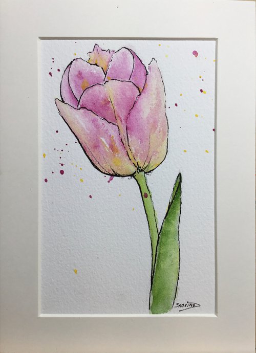 Pink tulip by Sabrina’s Art