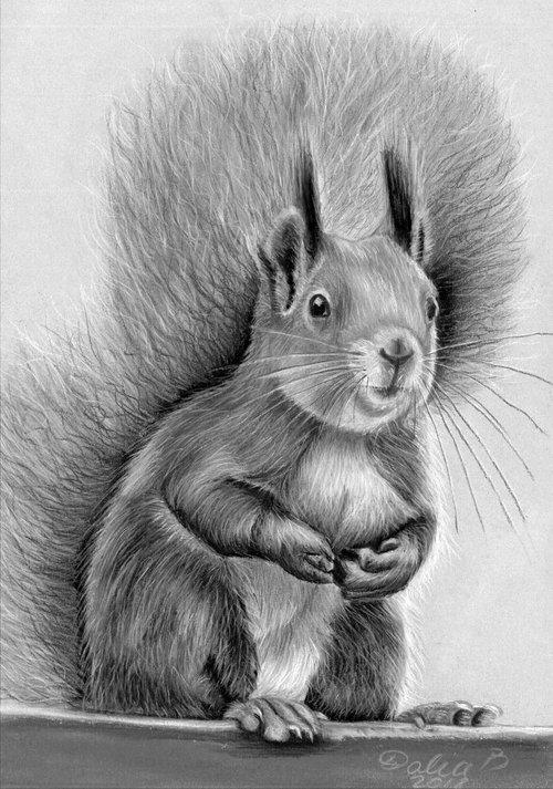 Squirrel by Dalia Binkiene
