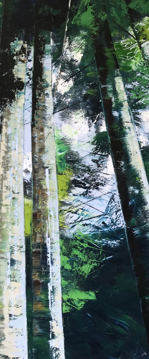 Freedom in a Woodland Walk by Belinda Reynell