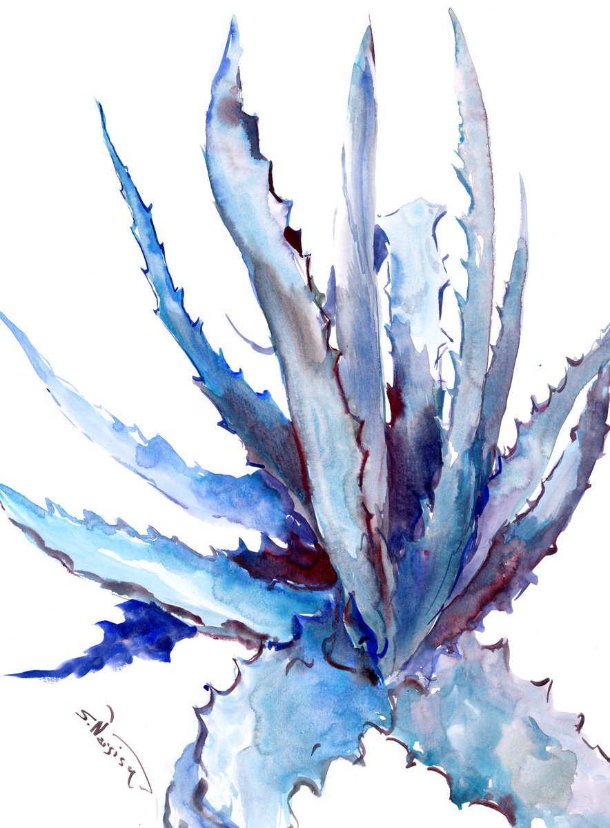 Blue Agave Plant by Suren Nersisyan