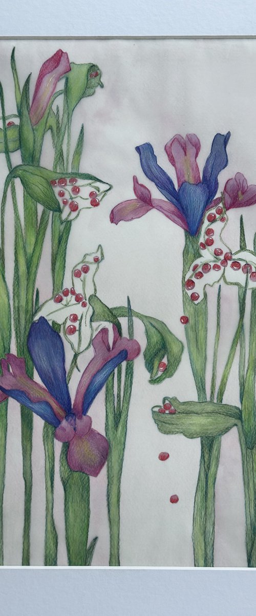 Purple Botanical Irises by Irina Anis