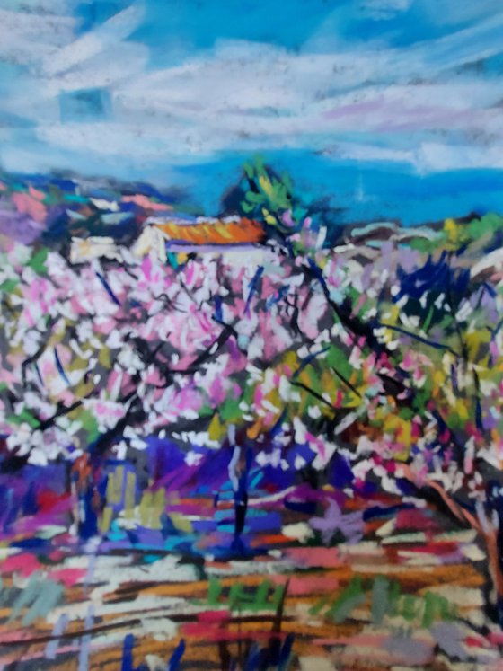 Country house amongst almond blossom