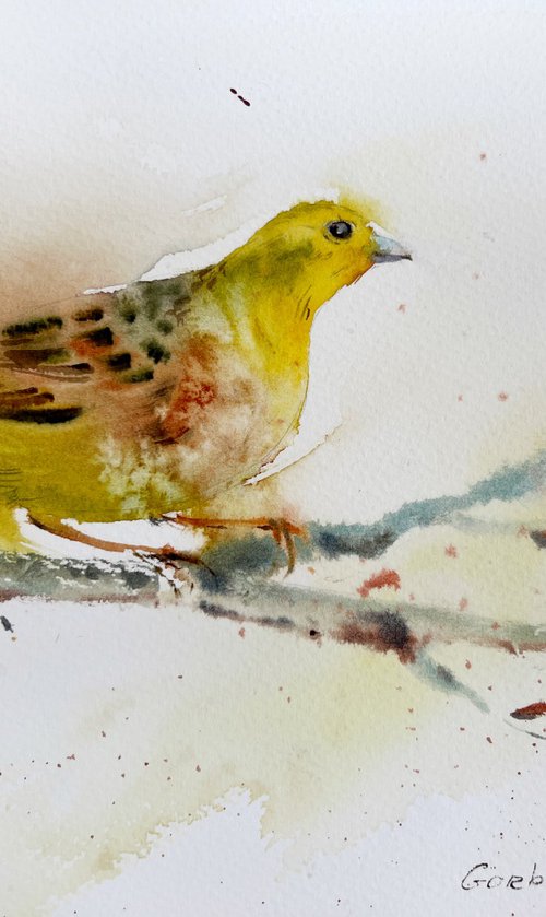 Little yellow bird by Eugenia Gorbacheva
