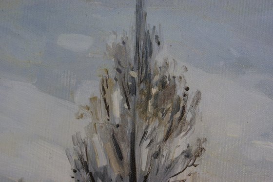 The Old Poplar in Winter