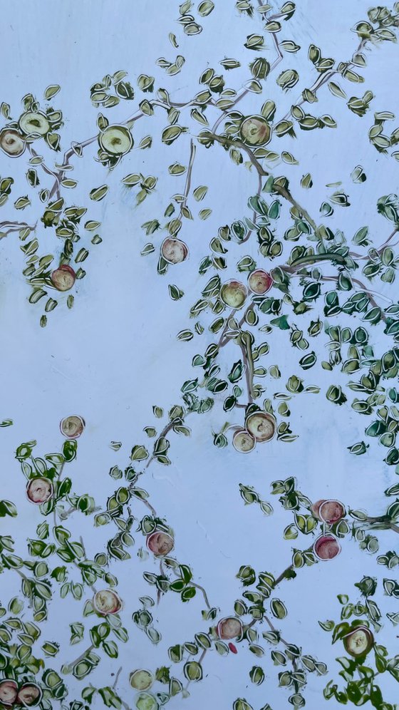 Apple trees and blue sky