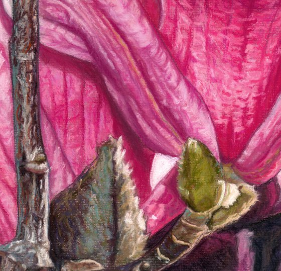 Original Magnolia Painting | Magnolias in Astoria | Soft Pastel Drawing | Pink Flower Home Decor