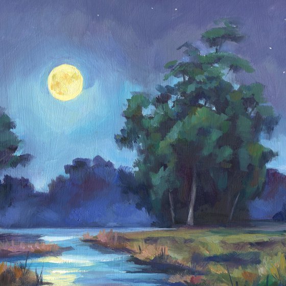 Night landscape in the swamp
