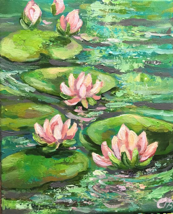 Small Water Lily no 3