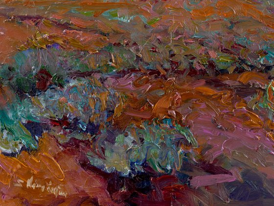 Sunset in the Desert. Arizona