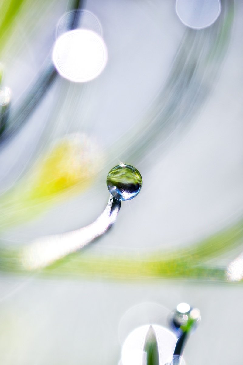 Organic Abstract Photograph By Inna Etuvgi, 12 X 16, The Beauty Of The Moment, Original Artwork