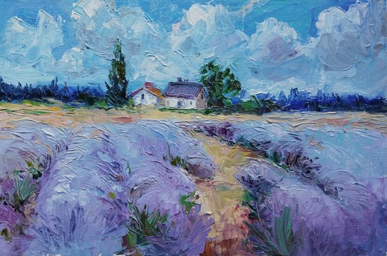 Lavender Dreams