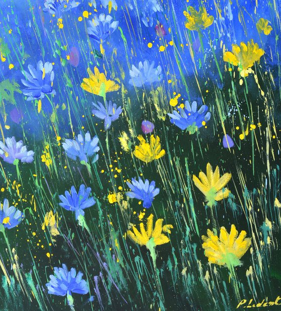 Blue cornflowers 79