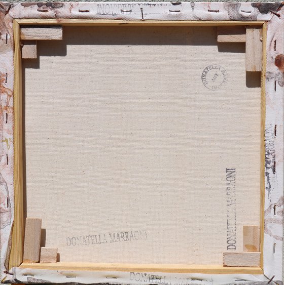 Volano farfalle