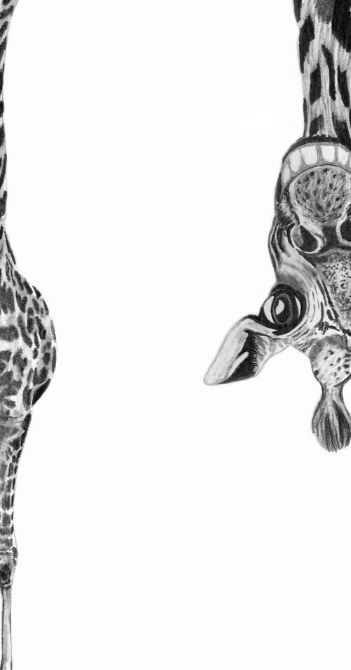 Goofy Giraffe by Paul Stowe