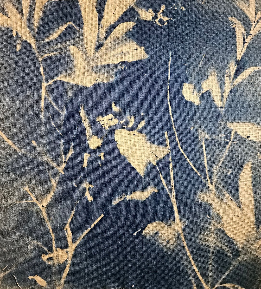 Surrealistic Botanical Acrylic Painting By Stefano Mazzolini, 35 X 39", Rf37, Original Artwork