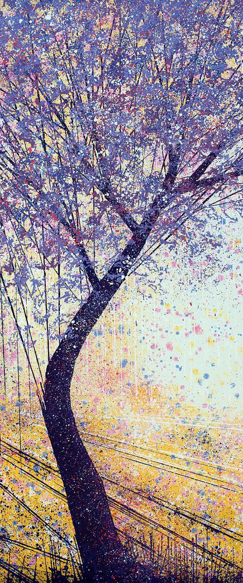 Summer Tree In Evening Light by Marc Todd