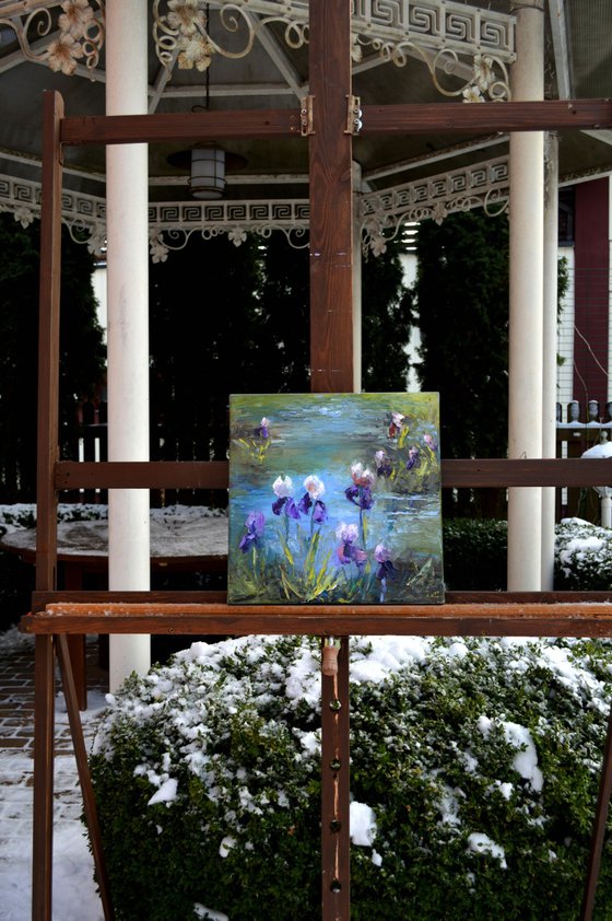 Pond with irises