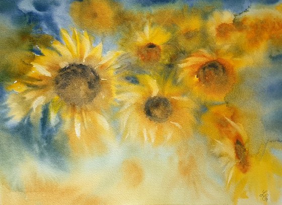 Sunflowers fields.
