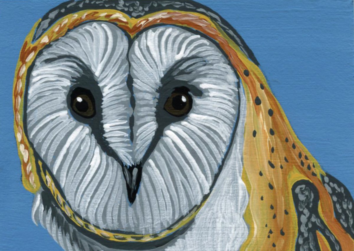 ACEO ATC Original Miniature Painting Barn Owl Bird Wildlife Art-Carla Smale by carla smale
