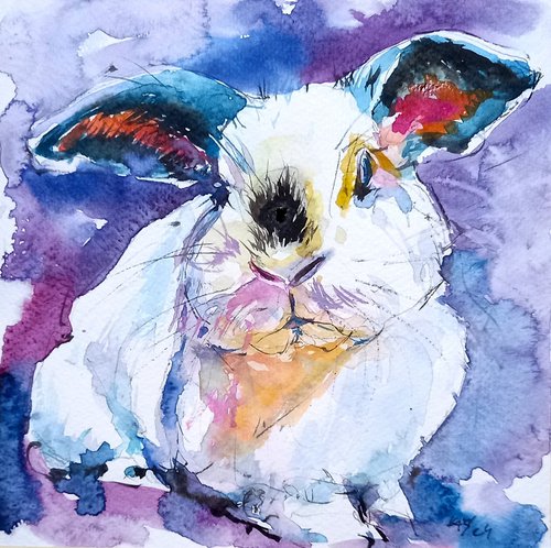 Cute rabbit III by Kovács Anna Brigitta