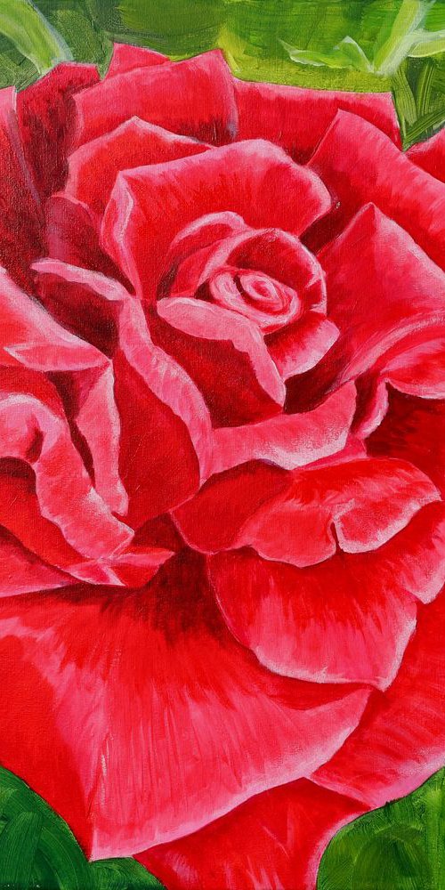 Red rose - the emblem of love, 60*50 by Dmytro Yeromenko