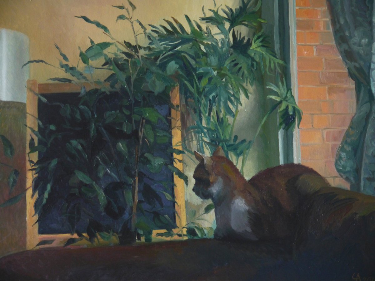 Shiki The Cat By Anastasia Chernysheva, 31 X 24, Artwork For Sale On Artfinder