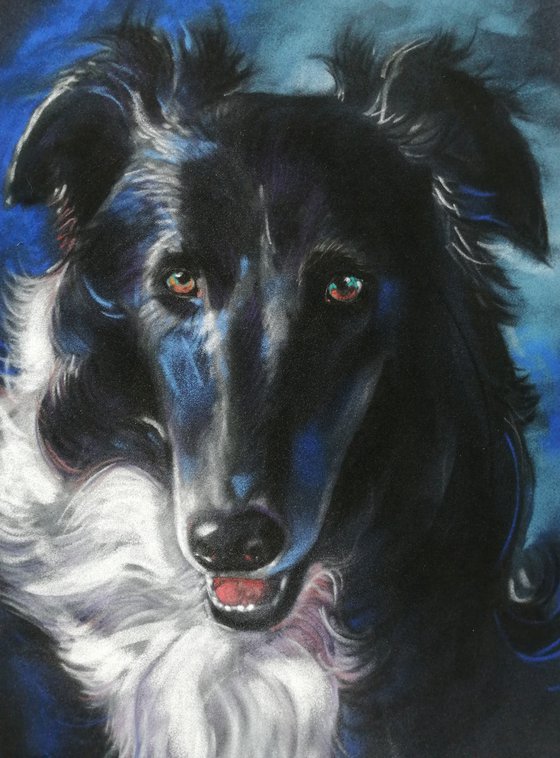 Original pastel drawing of a Borsoi, Wippet, Greyhound.