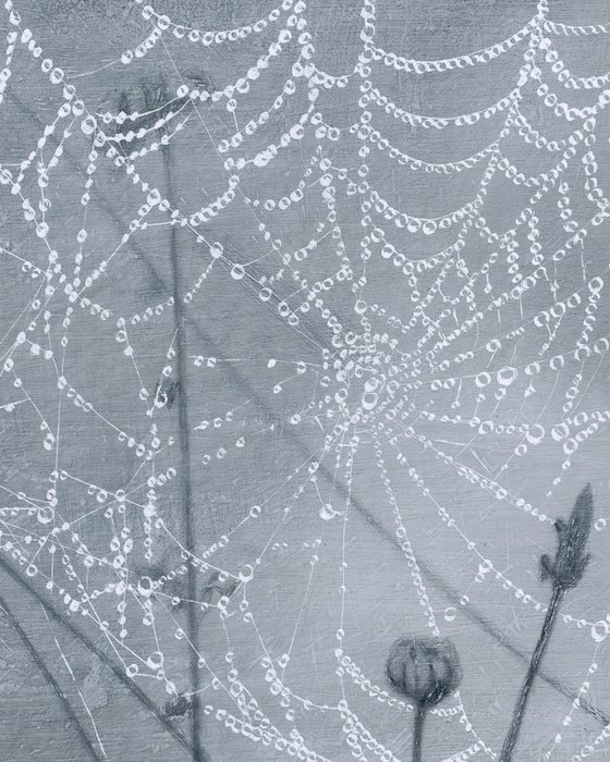 Spiderweb: Draped Lace