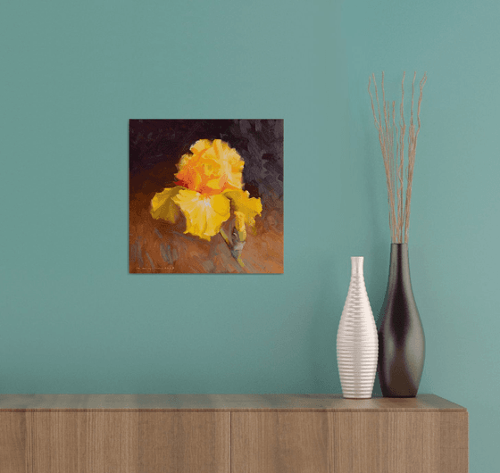 Yellow iris