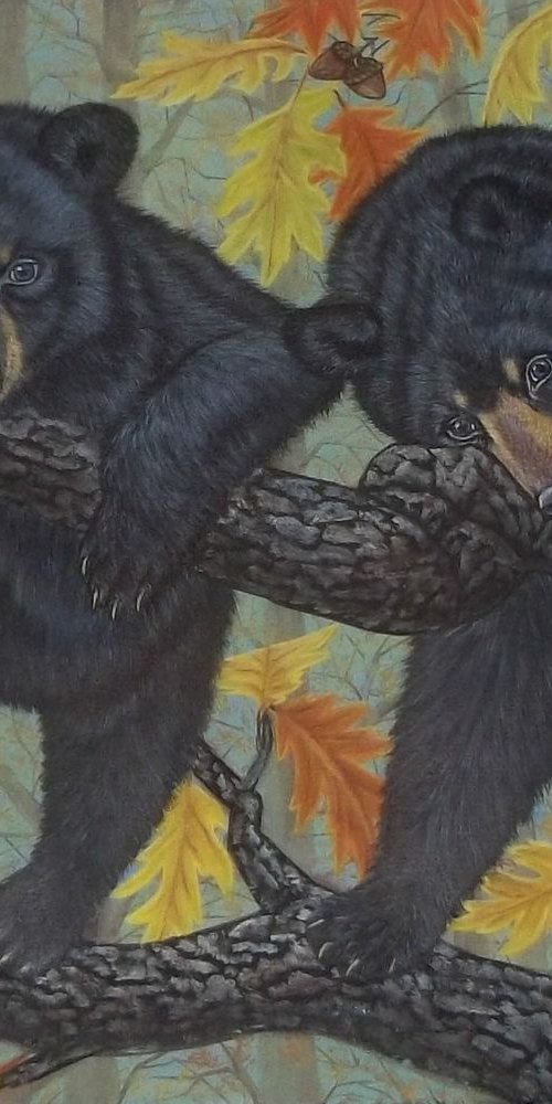 Two Black Bear Cubs on an Oak tree by Sofya Mikeworth
