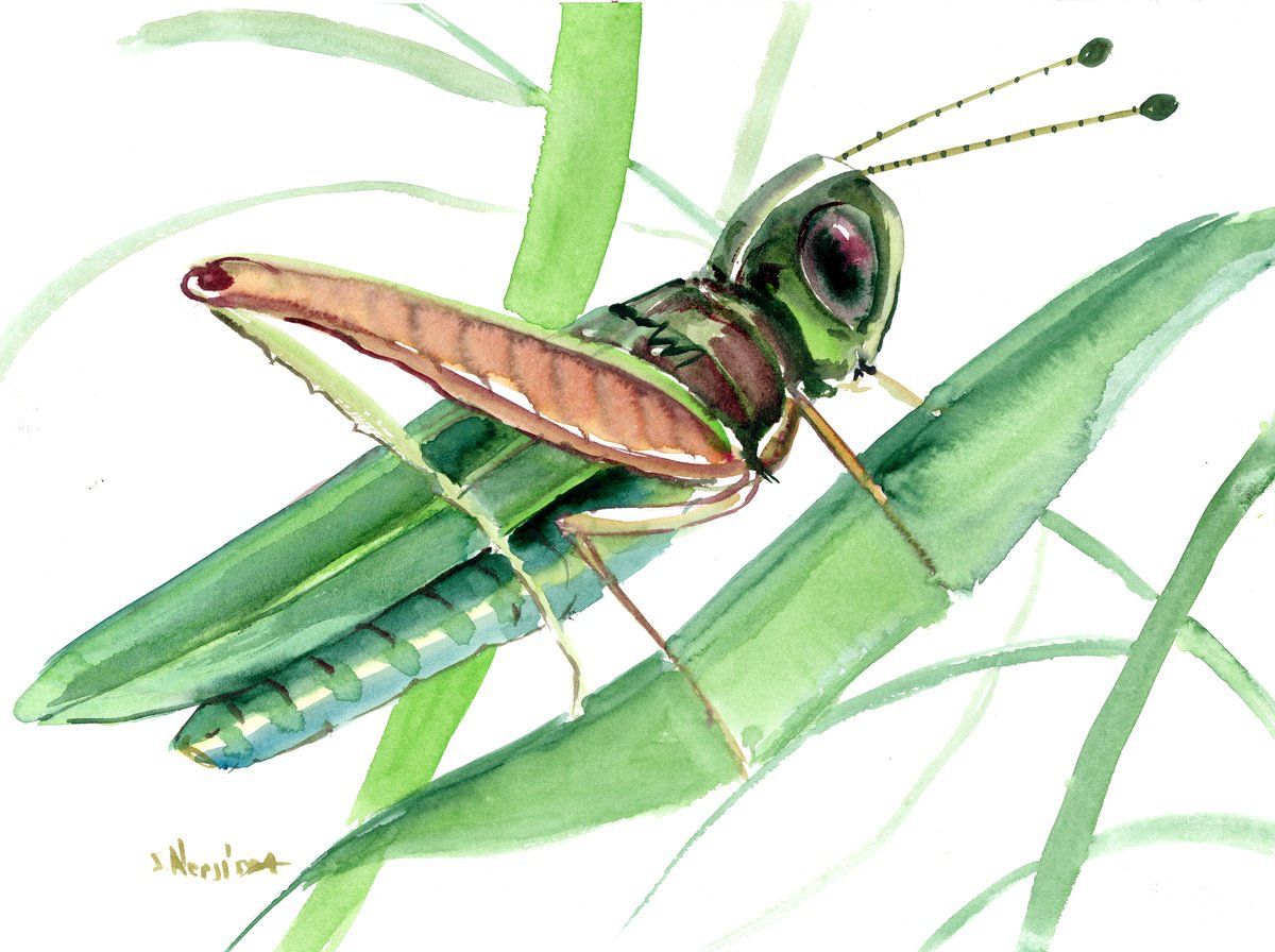 Grasshopper by Suren Nersisyan