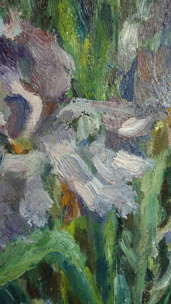 Irises N 4