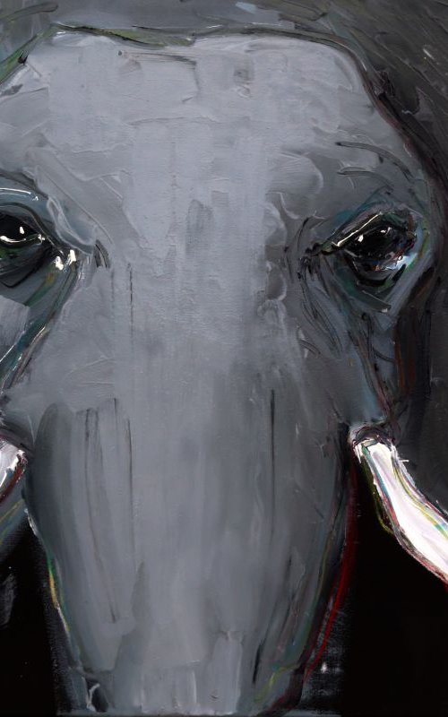 Elephant by Francesca Candito
