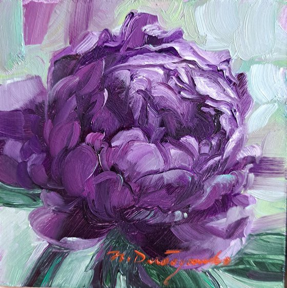 Peony flower purple