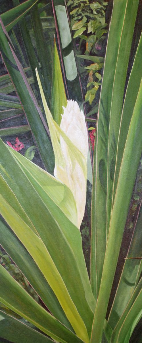Floral Series 6 by Steven Fleit