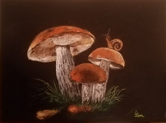 Family of mushrooms