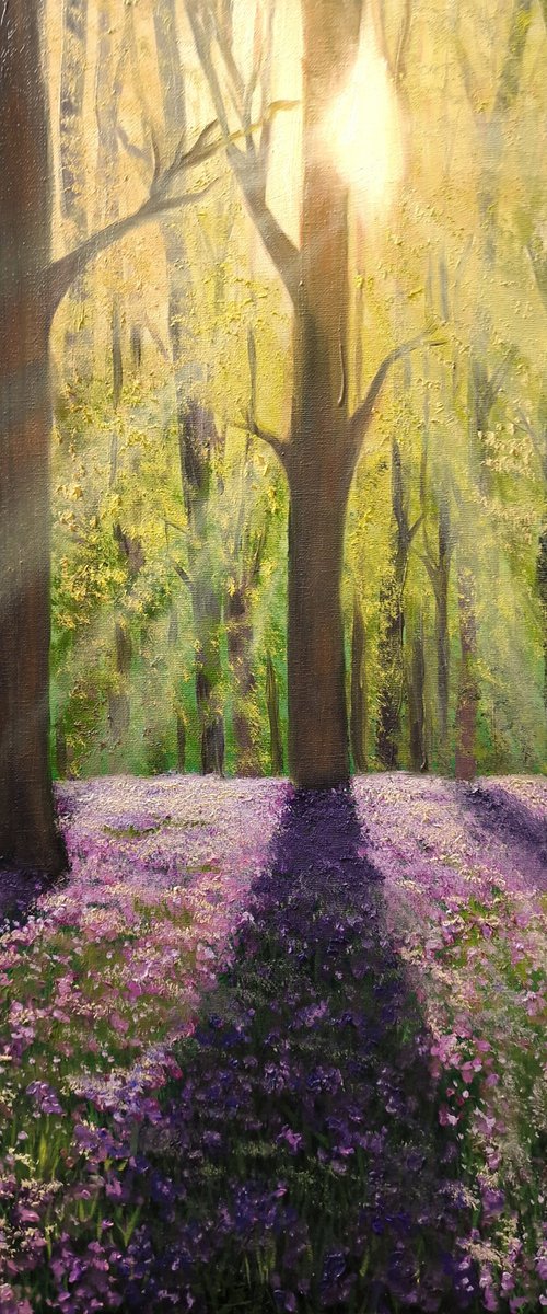 Bluebell Woodlands by James Brunt