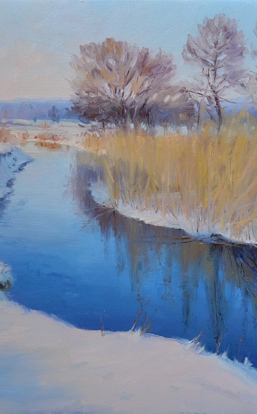In winter, by the river by Ruslan Kiprych
