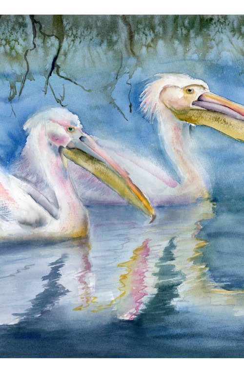 Two swimming pelicans by Olga Tchefranov (Shefranov)