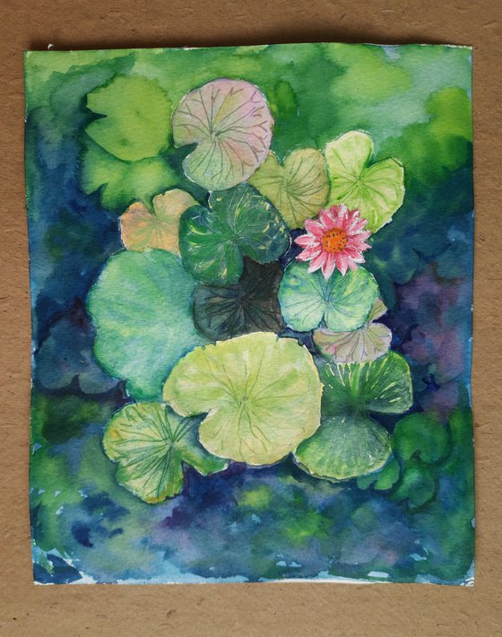 Lotus Pond with Water Lilies