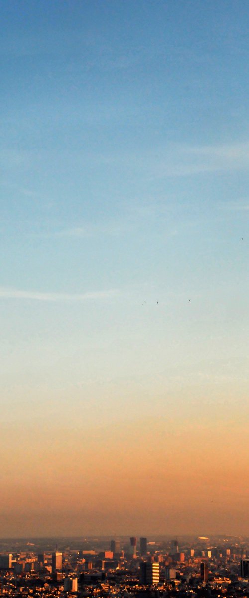 Orange Sky by Frankie Malone