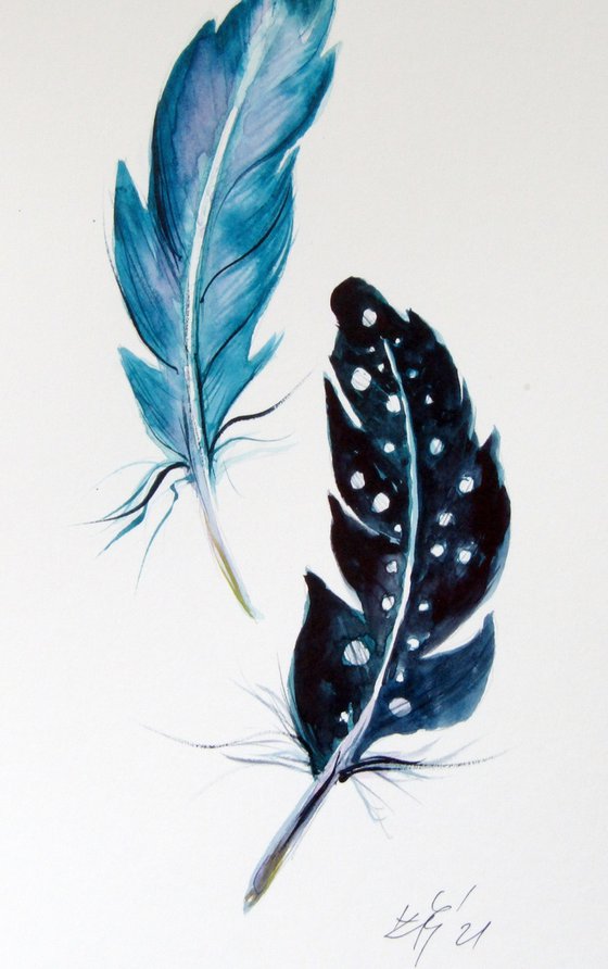 Feathers collection