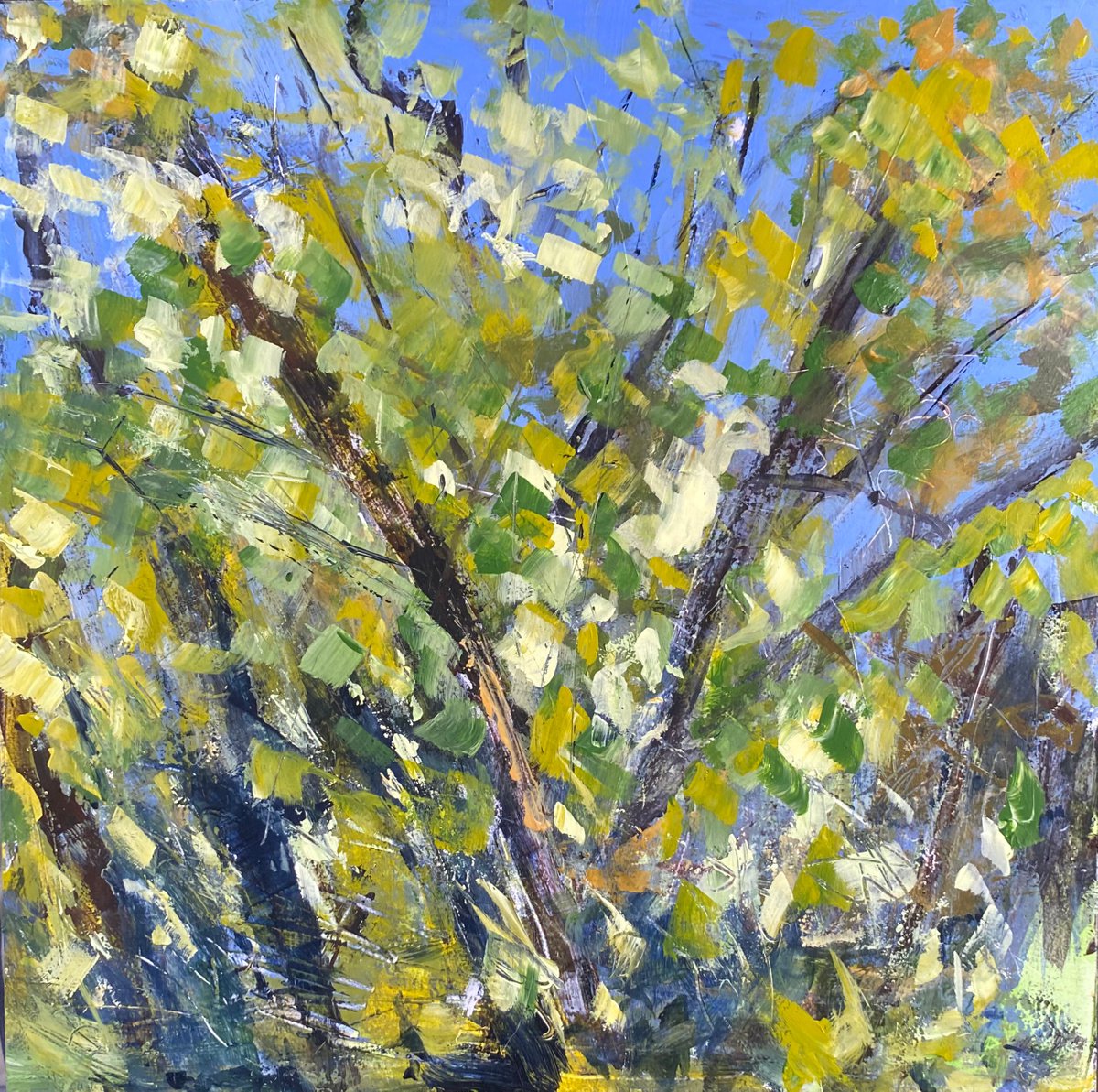 Early October Trees by Nikki Wheeler