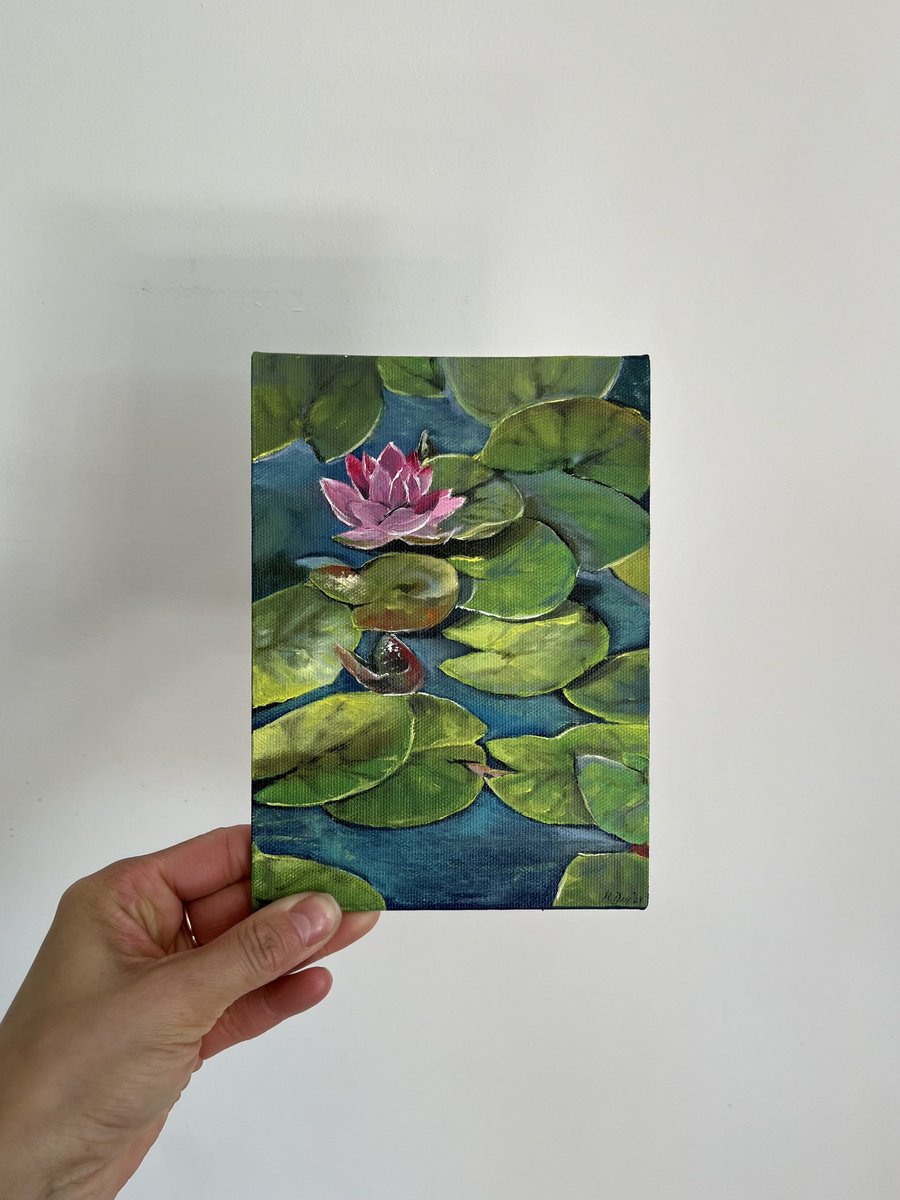 Photorealistic Oil Painting , Water Lilies 18X13 Cm By Myroslava Denysyuk, 5 X 7, Artwork For Sale On Artfinder