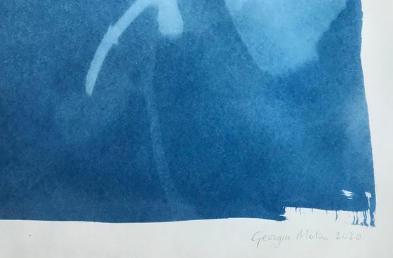 Right Foot Forward - Cyanotype