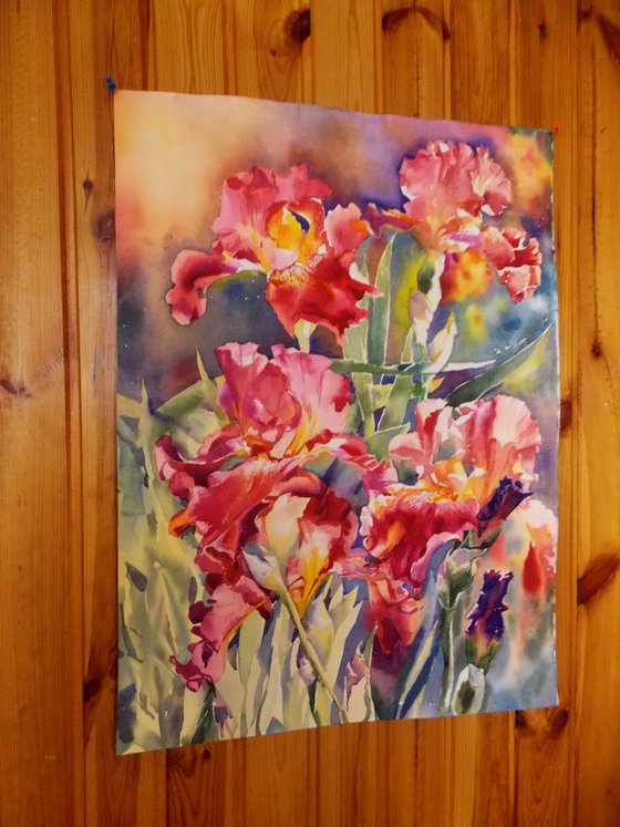 RED IRISES#2