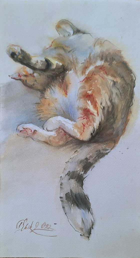 Purring cat